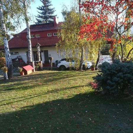 Villa Blanka Horní Podkozí المظهر الخارجي الصورة