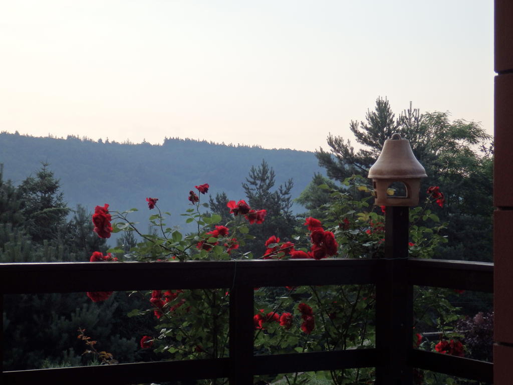 Villa Blanka Horní Podkozí المظهر الخارجي الصورة