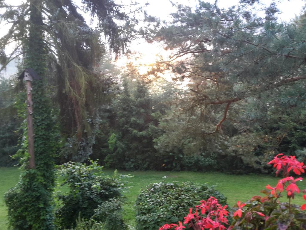 Villa Blanka Horní Podkozí المظهر الخارجي الصورة