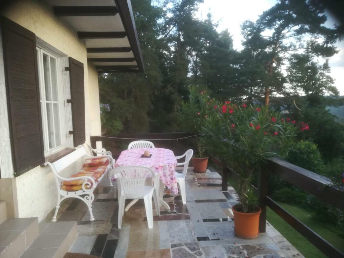 Villa Blanka Horní Podkozí المظهر الخارجي الصورة