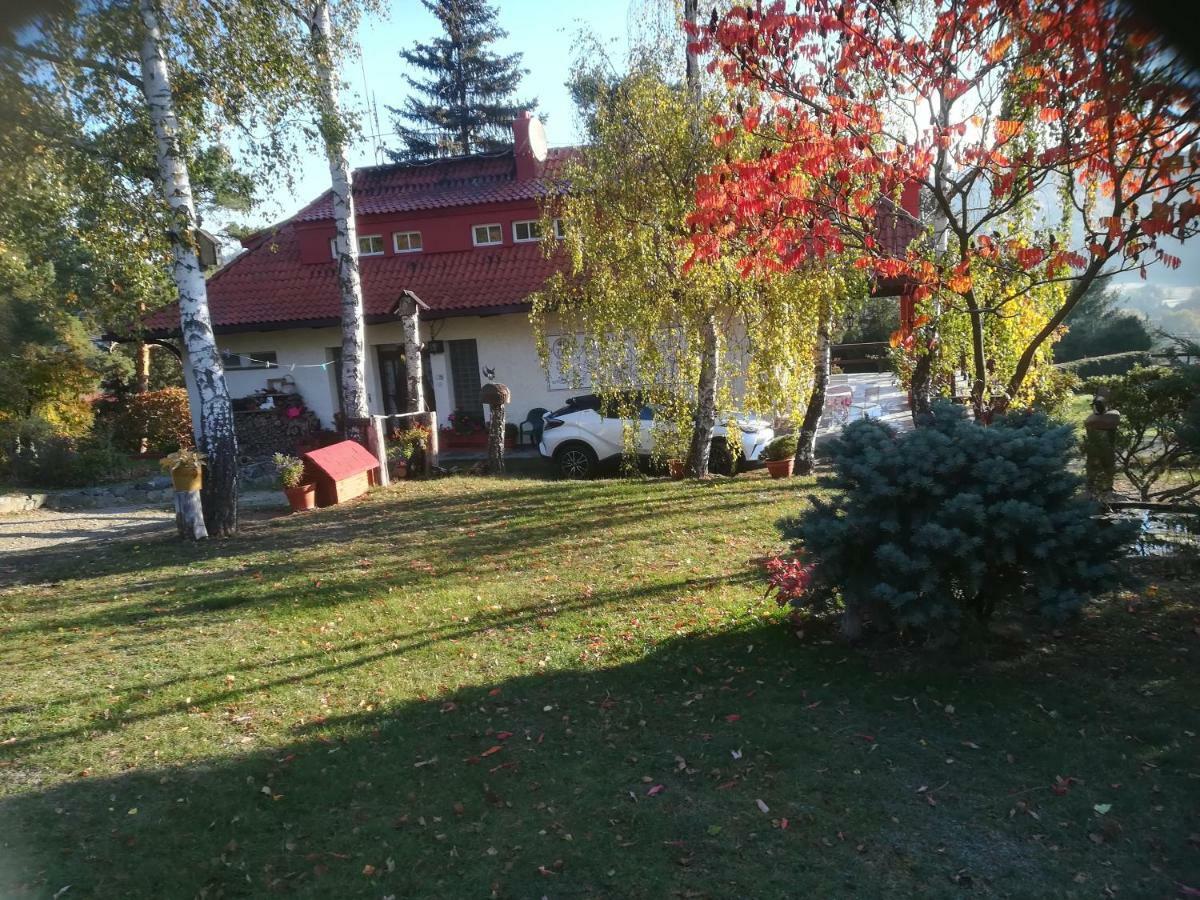 Villa Blanka Horní Podkozí المظهر الخارجي الصورة